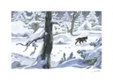 Le lynx en hiver