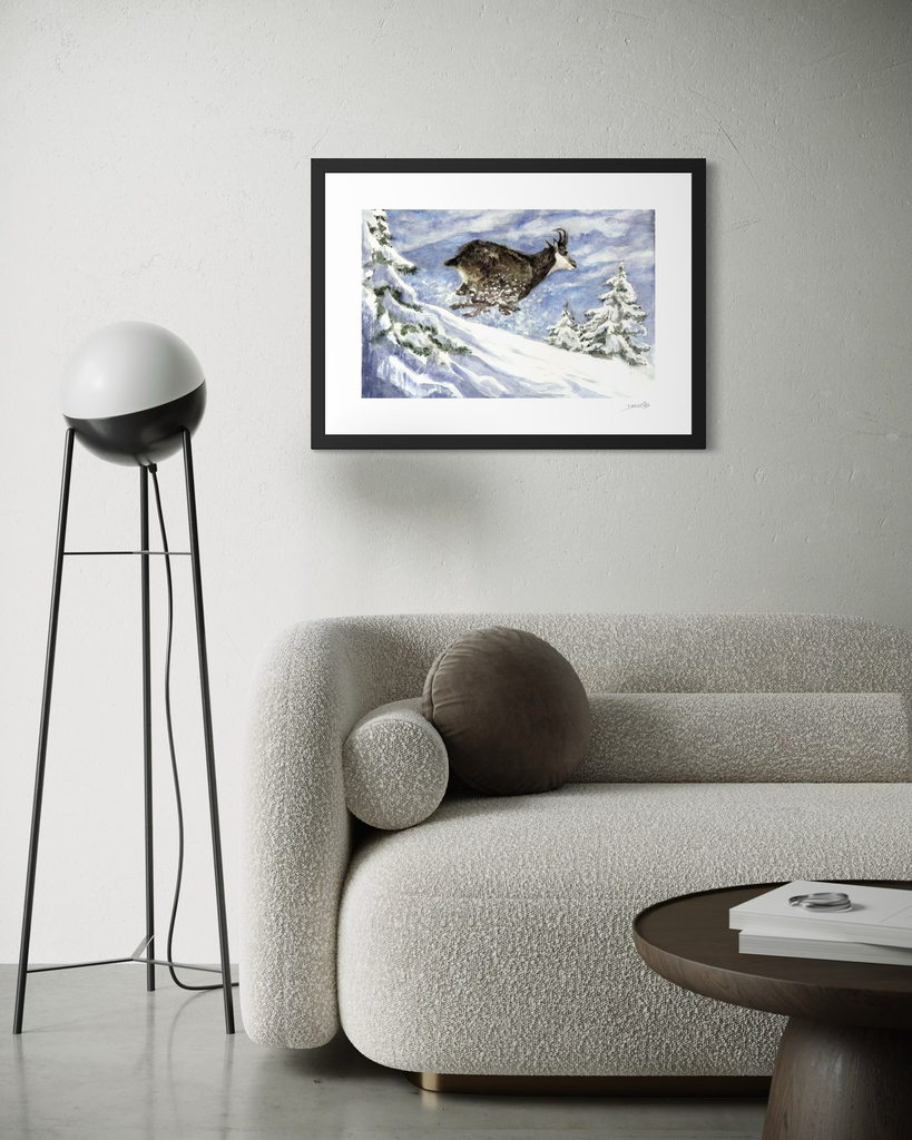 Le chamois en hiver_in situ 2_©Derib-Orakart.webp