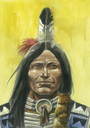 Indian Spirit #2