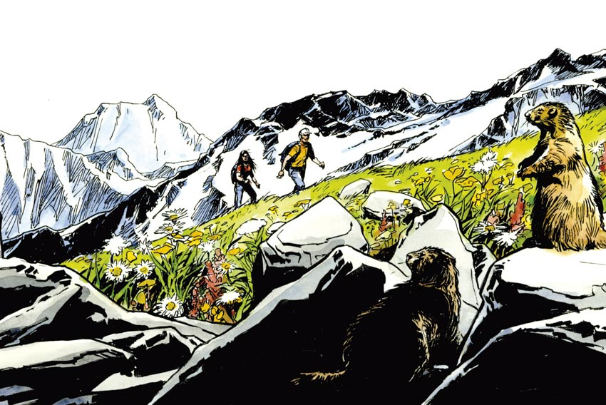 Les Marmottes de Tsarmine