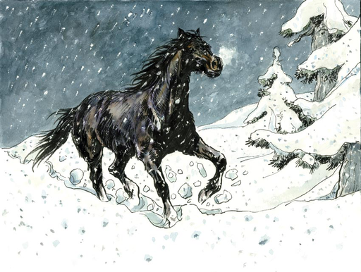 Cheval en hiver