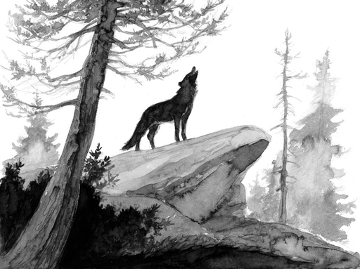 Le loup